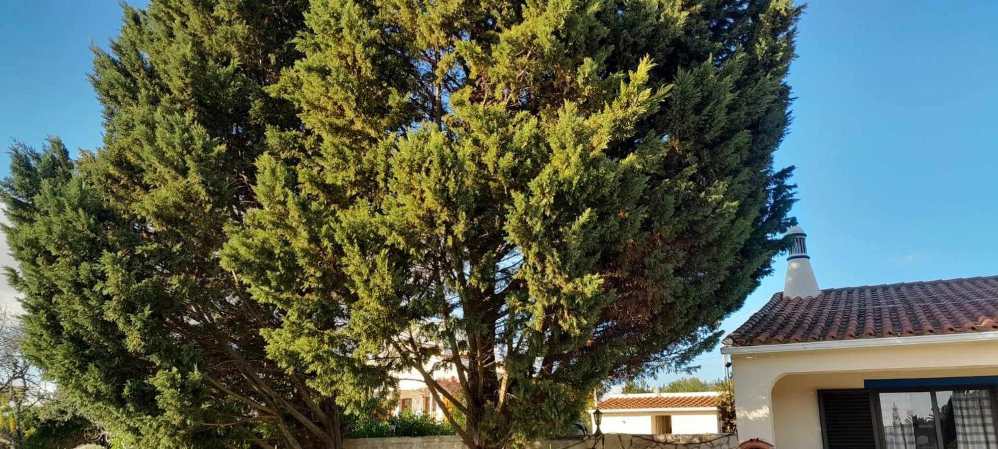 فيلا Casa Joaquina كارفويرو المظهر الخارجي الصورة